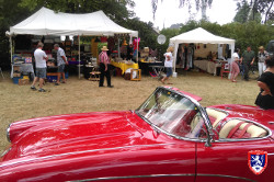 Oldtimerfreunde Zülpich - Frühsommerliche Treffen im Juni 2017 an Ahr und Rhein