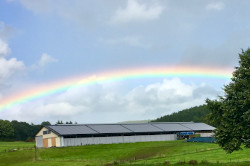 Oldtimerfreunde Zülpich - kurz vor Hillesheim zeigte sich ein imposanter Regenbogen - Spontanausfahrt in die Eifel nach Malberg (8.8.2021)